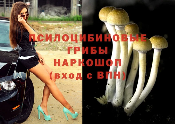 бошки Заводоуковск